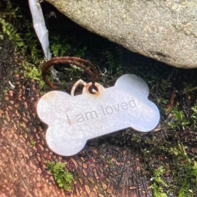 diettket's profile picture. dead in a ditch cucumber fanboy