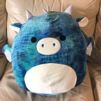 ScrunklyDragon (@scrunklydragon) 's Twitter Profile