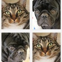 Otto and Eddie - @OttoandEddie - Twitter