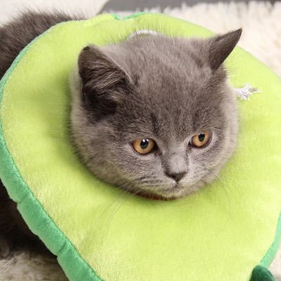 Michell13892278's profile picture. 