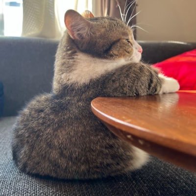 Sir25563747's profile picture. 一緒にたのしめる方、募集しております。 よろしくお願いします。詐欺まがい行為をする方はお断りします。場所は相談しましょう！！（北関東優先）（男性は不用です）