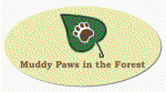 Muddy Paws in the Forest provide Canine Care Services across the New Forest in Hampshire. Please visit our website for more information about us!