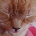 🇨🇦 🤗Mιɱι & DυႦʅιɳ😻 ✝️✡️🇮🇱🇬🇧🚜🎶 (@mejkmimi) Twitter profile photo 🇨🇦 🤗Mιɱι & DυႦʅιɳ😻 ✝️✡️🇮🇱🇬🇧🚜🎶 (@mejkmimi) Twitter profile photo