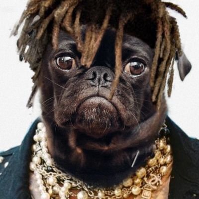 maybe_tylor's profile picture. hi