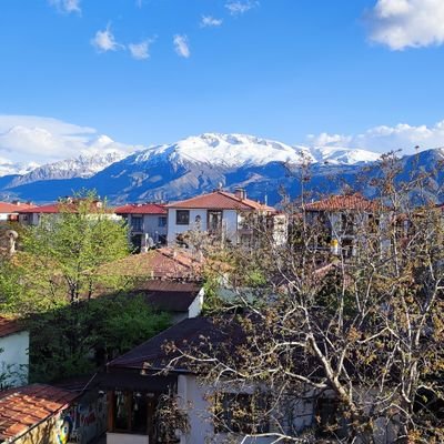 EZER2445546's profile picture. تم