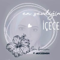 Zoha Redwan (@zoharedwan) Twitter profile photo