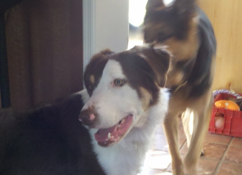 kylekorbal's profile picture. People do.... I don't -Kramer