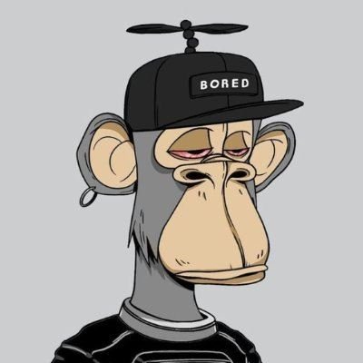 LReiger73491's profile picture. Meet Frankie and his 8.000