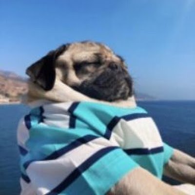 LDCAZY's profile picture. Always believe that the special love is for the special him.