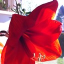 Valerie Low - @val_low - Twitter