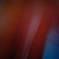 🕊 (@shehab_lasheen) Twitter profile photo