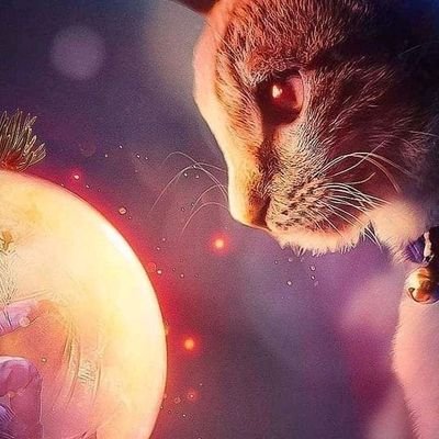 LisamarieSav's profile picture. 