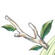 fywC455AHIATePD's profile picture. いっぱんぴーぽー