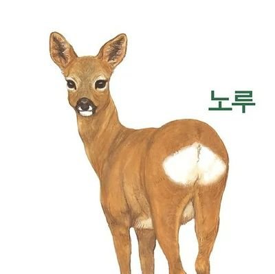 NUGUSAEYOさんのプロフィール画像