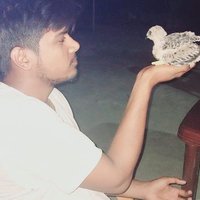 Ankit Rai (@ankitrai1209) 's Twitter Profile