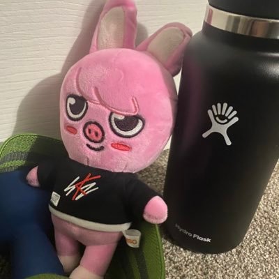 (FAN ACCOUNT) i am a skzoo of principles and my principles are that you drink water & keep your body strong and healthy (est. 230429) 🐷🐰💪🏻🔥💯