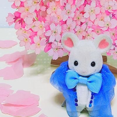 スノ美ぃさんのプロフィール画像
