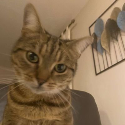 _julielg's profile picture. 