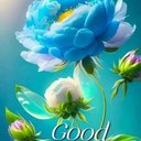 Manoj Vashisht - @manoj41271 - Twitter