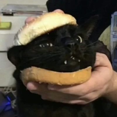 mobiletest78764's profile picture. 