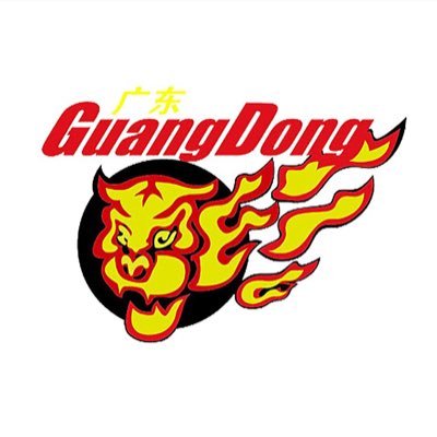 GuangDongTgiers Profile Picture