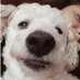 Sol (@solpaez2) Twitter profile photo Sol (@solpaez2) Twitter profile photo