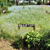 nnnnnn (@fukudanats96726) Twitter profile photo