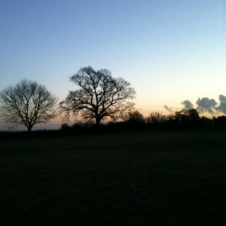 stormygriff's profile picture. unhinged, happy, busy person