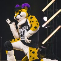 J€IHW∆N (@jeicheetah) 's Twitter Profile