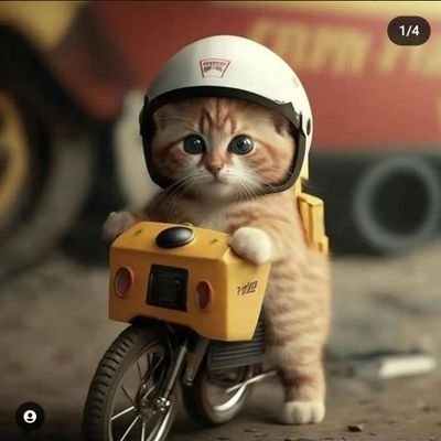 Monkey_428's profile picture. Soy Friki 🤷