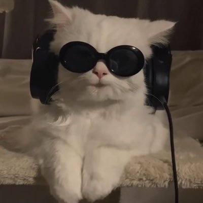 kocoa0310's profile picture. 유기현짱팬