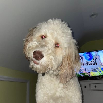 michaelagracee3's profile picture. https://t.co/Hw1oAUj31S rest easy pink♥️