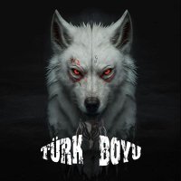 Türk Boyu (@turkk_boyu) Twitter profile photo