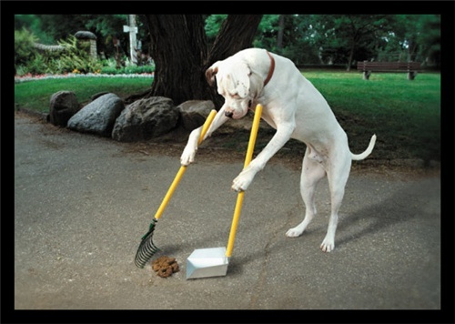 KodyPoldino2501's profile picture. 