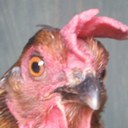 sam ely - @samely192 - Twitter