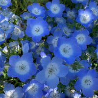 ぼーだー (@qkir7g6ll) 's Twitter Profile