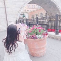 。 (@lily_camera0) 's Twitter Profile