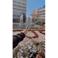 Dina🧘♀️ (@dedaa5566) 's Twitter Profile
