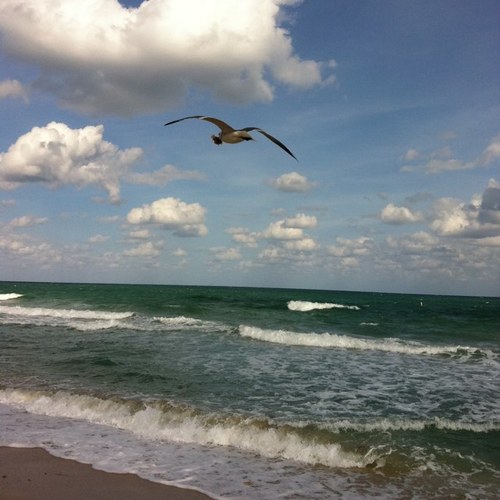 eNlighten13's profile picture. 