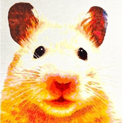 おかゆと九太さんのプロフィール画像