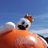 stys_E253