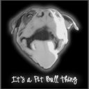 robert piel - @RobertPiel - Twitter