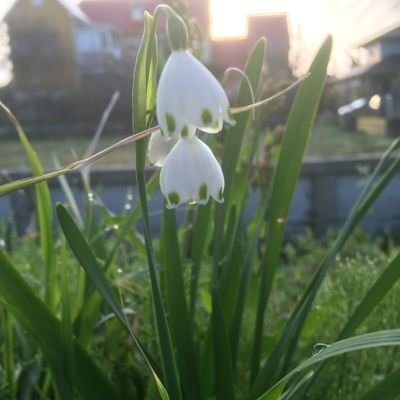 英語勉強中/今年中にTOEIC600点以上が目標!/今年からアラサーの仲間入り🐣🐥/言葉遊びが好き🙈🙉🙊/アニメ・漫画好き✨/自然・動植物好き💕/猫2匹飼ってます🐈⬛🐈