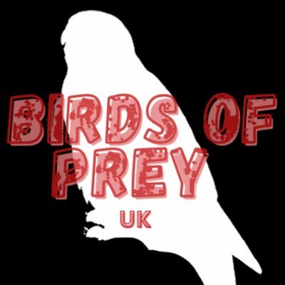 Number one source of sightings/info on Birds Of Prey in the UK.