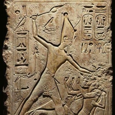 blueberry_62's profile picture. herhangi biri