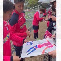 HAZU (@cerezo_hazu) 's Twitter Profile