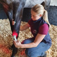 NJS Equine Massage Therapy(@xNynkee) 's Twitter Profile Photo