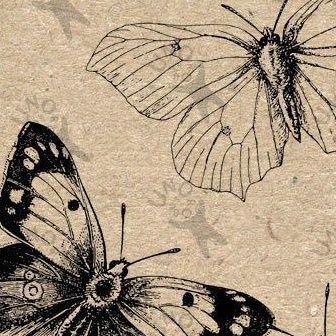 KeyvaLady45097's profile picture. 