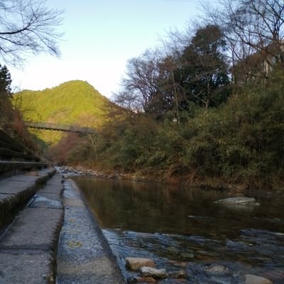 jVUyIDWcOx39428's profile picture. 