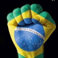 NaoBabaOvo💚🐽2️⃣2️⃣🇧🇷😎👉👉(@AdelanteSempre) 's Twitter Profileg